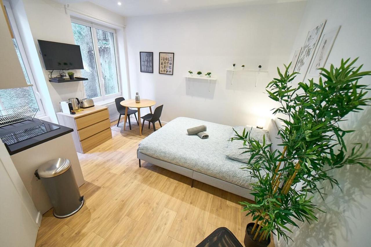 Apartamento Le Petit Pierre Scize - Quais De Saone Lyon Exterior foto